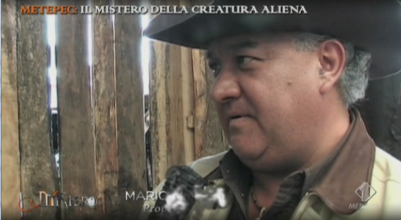 Mistero, la creatura aliena